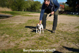 Zdjęcie 5
