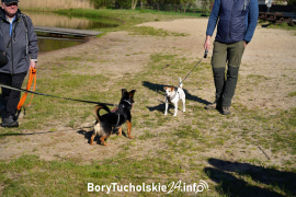 Zdjęcie 6