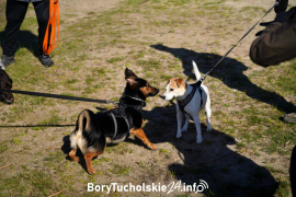 Zdjęcie 14