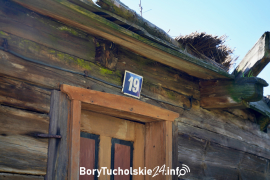 Zdjęcie 41