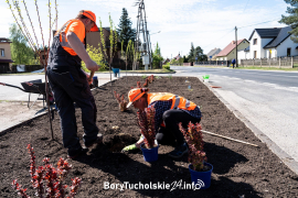 Zdjęcie 6