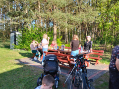 Zdjęcie 15