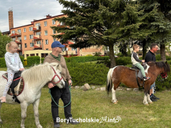 Zdjęcie 138