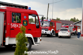 Zdjęcie 51