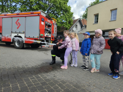 Zdjęcie 55