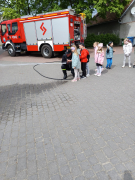 Zdjęcie 56