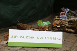 Zdjęcie 42