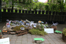 Zdjęcie 61