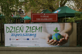 Zdjęcie 63