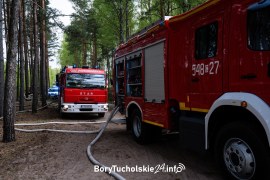 Zdjęcie 16