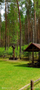 Zdjęcie 23