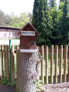 Zdjęcie 53