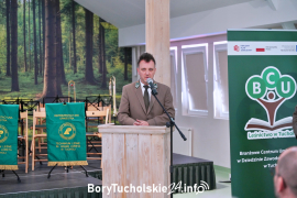 Zdjęcie 82