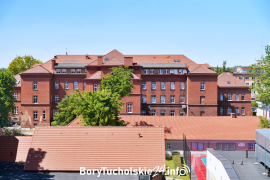 Zdjęcie 181