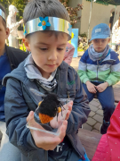 Zdjęcie 9