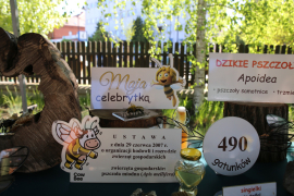 Zdjęcie 56