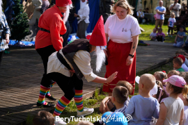 Zdjęcie 75