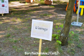 Zdjęcie 173