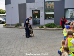 Zdjęcie 83