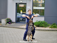 Zdjęcie 88