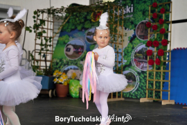 Zdjęcie 81