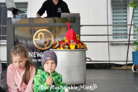 Zdjęcie 134