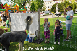 Zdjęcie 50