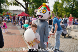Zdjęcie 120