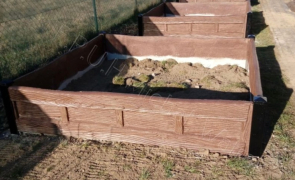 Zdjęcie 5