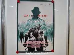 Zdjęcie 28