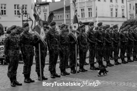 Zdjęcie 152