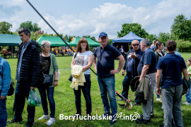 Zdjęcie 173