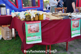 Zdjęcie 24