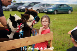 Zdjęcie 27