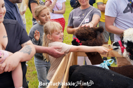 Zdjęcie 45