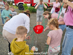 Zdjęcie 86