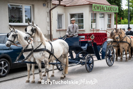 Zdjęcie 29