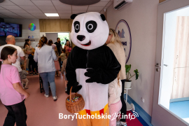 Zdjęcie 11
