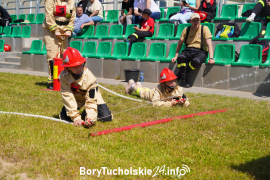 Zdjęcie 163
