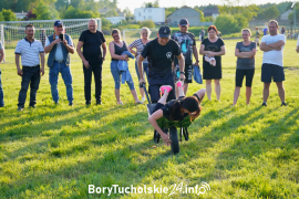 Zdjęcie 55