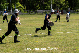 Zdjęcie 81