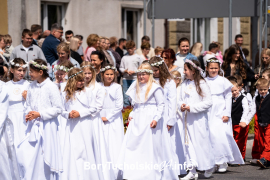 Zdjęcie 133