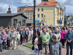 Zdjęcie 42