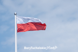 Zdjęcie 67