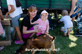Zdjęcie 3