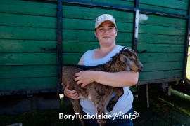 Zdjęcie 4