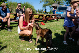 Zdjęcie 14