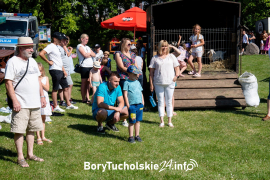 Zdjęcie 20