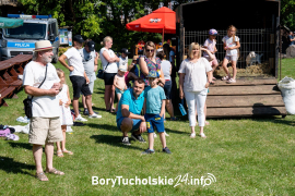 Zdjęcie 21
