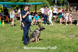 Zdjęcie 22